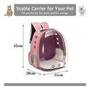 Mochila Bolso Transporte Transparente Mascotas Perros Gatos Color Azul