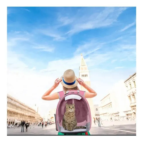 Mochila Bolso Transporte Transparente Mascotas Perros Gatos Color Azul