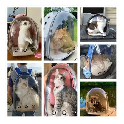 Mochila Bolso Transporte Transparente Mascotas Perros Gatos Color Azul
